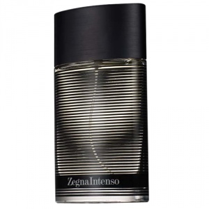 Zegna Intenso Eau de Toilette 50ml