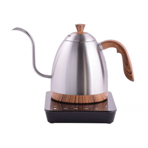 Brewista Artisan Kettle 2.0 - 900ml - Silver