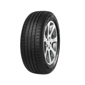 Minerva F209 215/65 R16 98H