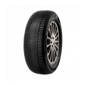 Minerva FROSTRACK HP 195/65 R15 95T XL