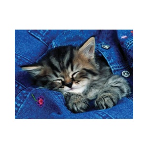 Ravensburger Puzzle 500 Pisicuta 14378
