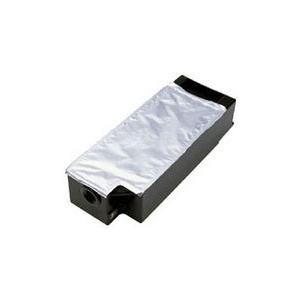 Epson C13T619000