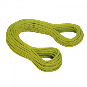 Mammut INFINITY PROTECT BiCO SENSE 9.5 (60)
