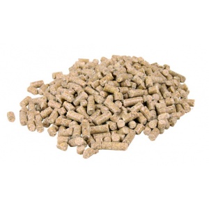 Trixie Food Sticks for Adult Agamas 76262