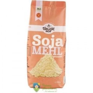 Bauck Hof Faina De Soia Prajita Bio Fara Gluten 250 Gr Lista De Preturi Cel Mai Mic Pret