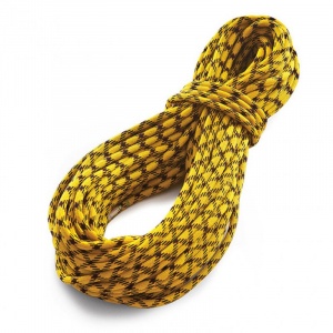 Tendon COARDA MASTER 9.7mm (60m)