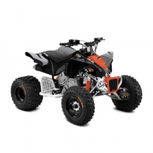 Can-Am DS X 90 2020