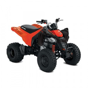 Can-Am DS 250 2020