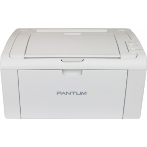 Pantum P2509