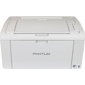 Pantum P2509W