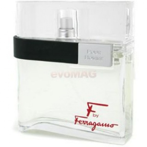 Salvatore Ferragamo F by Ferragamo Pour Homme edt 100ml