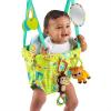 Bright Starts Jumper Deluxe Smiling Safari