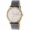 Skagen Ceas barbatesc Holst auriu roze-auriu Leather Japanese Quartz SKW6372
