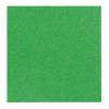 Colorama Fundal hartie 2.75m x 11m - CHROMAGREEN