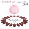 Clarissa Gel Color UV / LED 10g - FRUTTI DI BOSCO