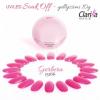 Clarissa Gel Color UV / LED 10g - GERBERA