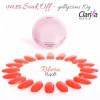 Clarissa Gel Color UV / LED 10g - RIBERA