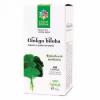 Santo Raphael Ginko biloba 60cps