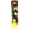 Carlton Fluturasi badminton F2