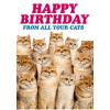 Dean Morris Cards Felicitare - Happy Birthday From All Your Cats