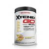 Scivation Xtend Go / NEW FORMULA