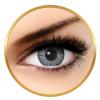 Bella Natural Looking Lenses Natural Viola Gray 90 purtari (2 lentile/cutie)