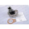 Chaffoteaux Vana gaz Centora Green 30 N GB-CO 61310129