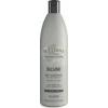 Alfaparf Balsam Il Salone Epic 500ml