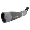Celestron Regal 100 F-ED