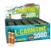 Gold Nutrition L-carnitine 3000 mg, 20 x 10 ml, lamaie