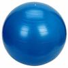Dayu Fitness Minge gimnastica 55cm
