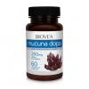 BIOVEA Mucuna Pruriens Dopa, 250mg, 60 capsule