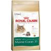 Royal Canin Hrana Uscata Pisica MAINECOON, 10 Kg