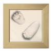 Baby Art - Belly Kit