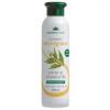 Cosmetic Plant Sampon Seboreglator cu Salcie si Vitamina B6 250ml