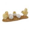 Collecta Puii Din Ou