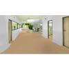 Tarkett Linoleum natural VENETO bej deschis