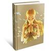 Nintendo Ghid The Legend Of Zelda Breath Of The Wild Expanded Edition Hardcover
