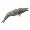 Collecta Balena Gri