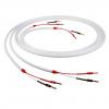 Chord Electronics C-screen 2 x 3.0m