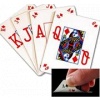 United States Playing Cards Company Bicycle PRO