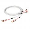 Chord Electronics Clearway 2 x 2.0m