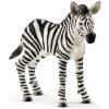 Schleich Zebra foal 14811