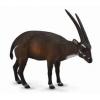 Collecta Antilopa Saola L