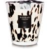 Baobab Black Pearls lumanare parfumata 16 cm