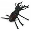 Collecta Radasca Mascul M