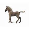 Collecta Manz Rocky Mountain Chocolate M