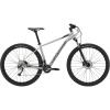 Cannondale Trail 6 Argintiu 2019