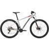 Cannondale Trail 4 Gri salvie 2019