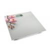 Esperanza Orchid EBS010 grey (5901299917213)